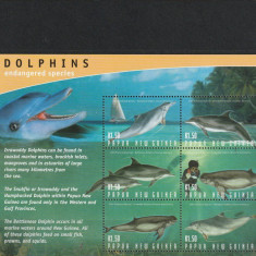 Fauna marina,delfini ,Papua