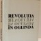 REVOLUTIA IN OGLINDA de STELIAN TURLEA , 1999