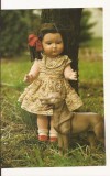 TD3 -Carte Postala- GERMANIA - Schildkrotpuppen um 1935/40