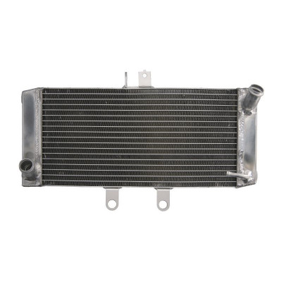 Radiator Racire SUZUKI GSF 650 Bandit an 2007-2013 APA foto