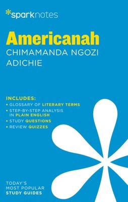 Americanah Sparknotes Literature Guide foto