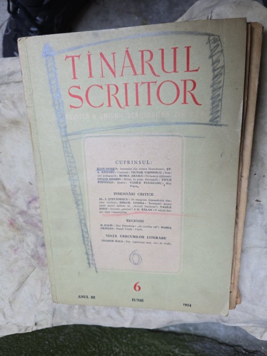 T&acirc;nărul Scriitor - Uniunea Scriitorilor nr.6/1054