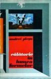 Andrei Plesu - Calatorie in lumea formelor - Meridiane - Istoria Artei - Coperta Brosata - Stare Buna - Limba Romana