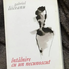 Intâlnire cu un necunoscut / Gabriel Liiceanu