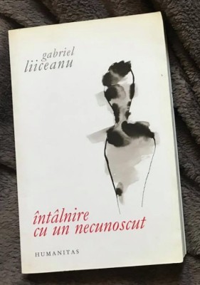 Int&amp;acirc;lnire cu un necunoscut / Gabriel Liiceanu foto