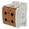 Conector Șine 300mm2 1 Pista 4 Borne Maro TS35