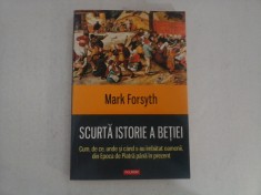 SCURTA ISTORIE A BETIEI - Mark Forsyth foto