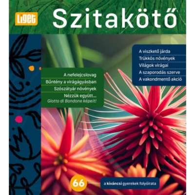 Szitak&amp;ouml;tő 2024/66. - A k&amp;iacute;v&amp;aacute;ncsi gyerekek foly&amp;oacute;irata - Horgas Judit foto