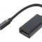Adaptor USB-C la DisplayPort 1.2