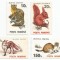 Rom&acirc;nia, Lp 1318/1993, Animale (uzuale), h&acirc;rtie albă cu filigran, MNH