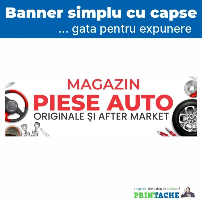 Banner stradal magazin piese auto - model 1