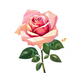 Sticker decorativ Trandafir, Roz, 72 cm, 7698ST