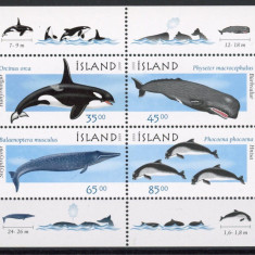 269-ISLANDA 1999-PESTI-colita cu 4 timbre nastampilate MNH