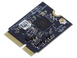 Modul Bluetooth Low Energy 5.3 CTHINGS.IO EDGE IOT M.2 NRF52840 Mesh 8dBm u.FL