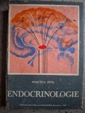 Endocrinologie Marcela Pitis
