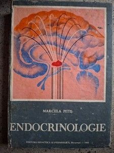 Endocrinologie Marcela Pitis foto