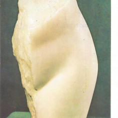 (A) carte postala(ilustrata) - CONSTANTIN BRANCUSI-Tors