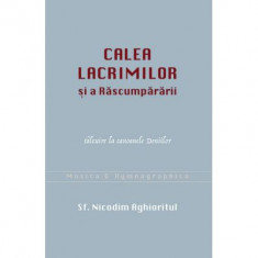 Calea lacrimilor si a Rascumpararii. Talcuire la canoanele Deniilor - Nicodim Aghioritul