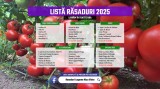 Vand Rasad Rosii Ardei Vinete Castraveti Varza | Rasaduri Legume 2025