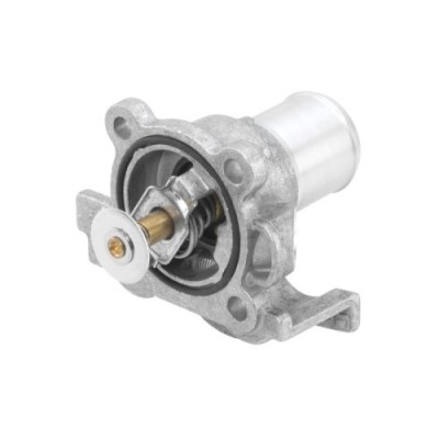 BorgWarner (Wahler) termostat, lichid racire foto