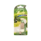 Cumpara ieftin 100125 - ODORIZANT PALOMA WOODY EVERGREEN