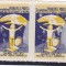 1924 Romania - Societatea Principele Mircea DANE UN LEU PENTRU COPII NEAM. MNH