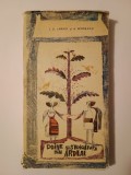 I. U. Jarnik; A. B&icirc;rseanu - Doine și strigături din Ardeal (ed. C. Ciuchindel)