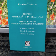 Dreptul proprietății intelectuale Dreptul de autor..., Ciutacu, Slatina 2003 170