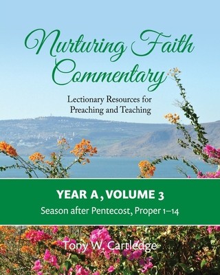 Nurturing Faith Commentary, Year A, Volume 3: Lectionary Resources for Preaching and Teaching-Season after Pentecost: Proper 1-14 foto