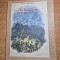 carte pentru copii - din lumea celor care nu cuvanta - emil garleanu - din anul 1955