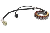 Cumpara ieftin Magnetou (stator aprindere) pentru YAMAHA YFM 350 2002-2012