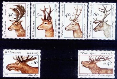 C1746 - Bulgaria 1987 - Fauna 6v.neuzat,perfecta atsre foto