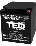 Acumulator AGM VRLA 12V 28A dimensiuni speciale 165mm x 125mm x h 175mm M6 TED Battery Expert Holland TED003430 (1) SafetyGuard Surveillance