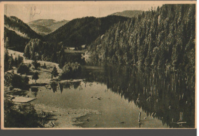 CPIB 15551 CARTE POSTALA - LACUL ROSU (GHILCOS), RPR, LIBRARIA NOASTRA foto