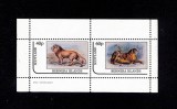 Coliță Bernera Islands (Scotland) &ndash; Lei africani &ndash; Pereche de timbre &ndash; MNH