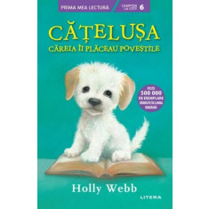 Holly Webb Catelusa careia ii placeau povestile