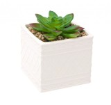 Planta decorativa artificiala in ghiveci decorat cu pietricele
