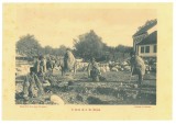 4798 - POIANA SIBIULUI, ETHNIC woman &amp; shepherds - old card 19/13.5 cm - unused