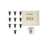 Clema, clips fixare Lexus Es 01.97-01.02, Gs 01.98-12.04, Ls 10.00-11.06; Toyota Avensis 04.03-06.06; ornamente pervaz, set 10 buc, 75867-30110