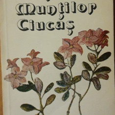 FLORA MUNTILOR CIUCAS - MARIA CIUCA ( 1989)