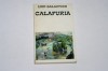 Calafuria - Luki Galaction, Roman, 244 pagini, Stare Buna