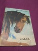 CALUL -EMIL GIRLEANU