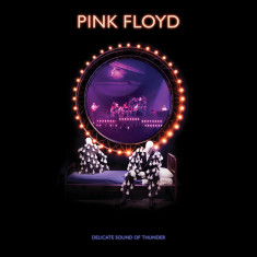 Pink Floyd Delicate Sound Of Thunder (dvd) foto