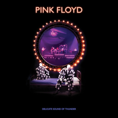 Pink Floyd Delicate Sound Of Thunder (bluray) foto