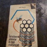INTRETINEREA ALBINELOR IN STUPI MULTIETAJATI - AUREL MALAIU