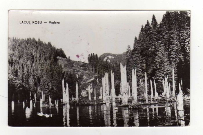 LACUL ROSU RPR