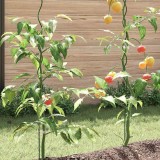 vidaXL Suporturi spiralate pentru plante 20 pcs Verde 150 cm