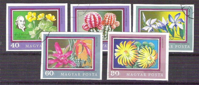Hungary 1971 Flowers, IMPERFORATE, used U.029