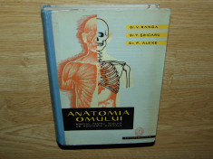 ANATOMIA OMULUI-MANUAL PTR.SCOLILE DE ASISTENTE-V.RANGA ANUL 1961 foto