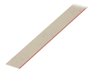 Cablu Bandă Litat Cu 10x28AWG Neecranat PVC 1,27mm foto